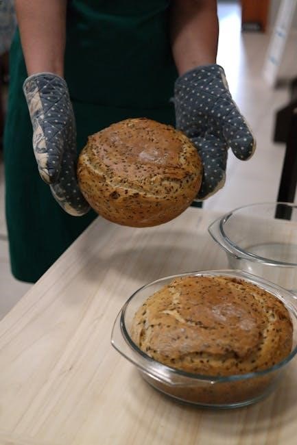 panasonic bread maker user guide